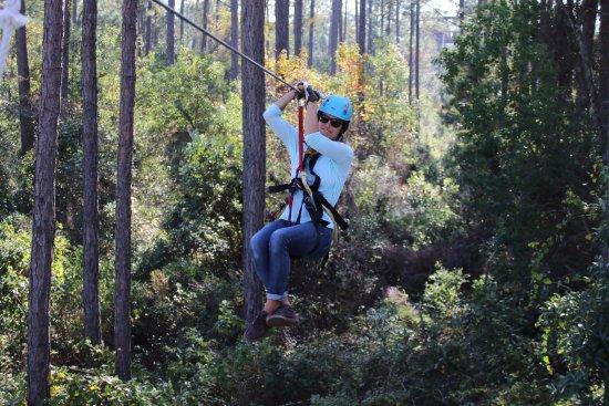 The Hummingbird Zipline Course